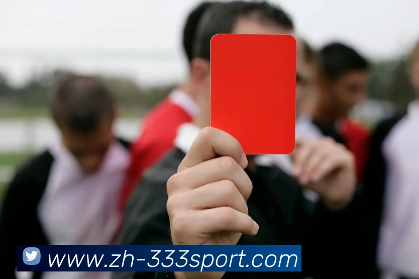 333体育APP 高清赛事图